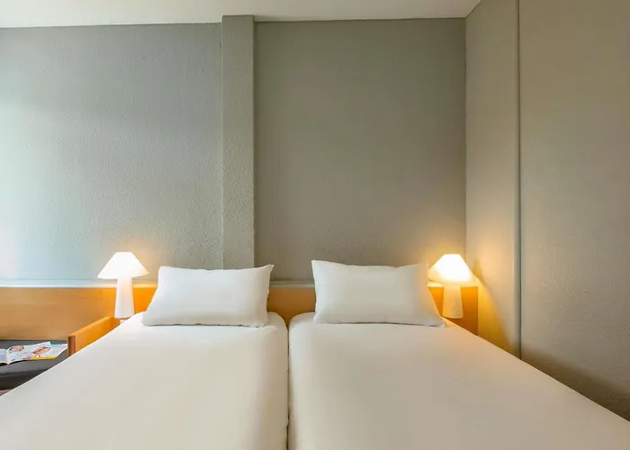 Ibis Rambert D'albon